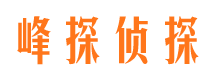 雁江市私家侦探